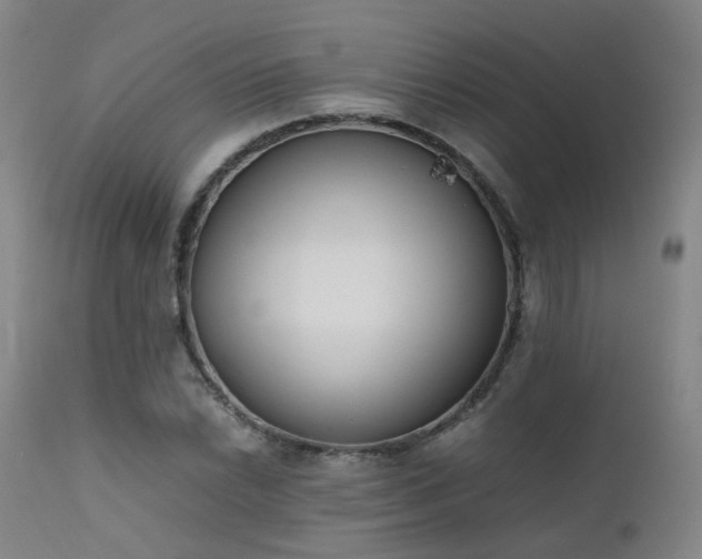 X0000111661022200907171604
