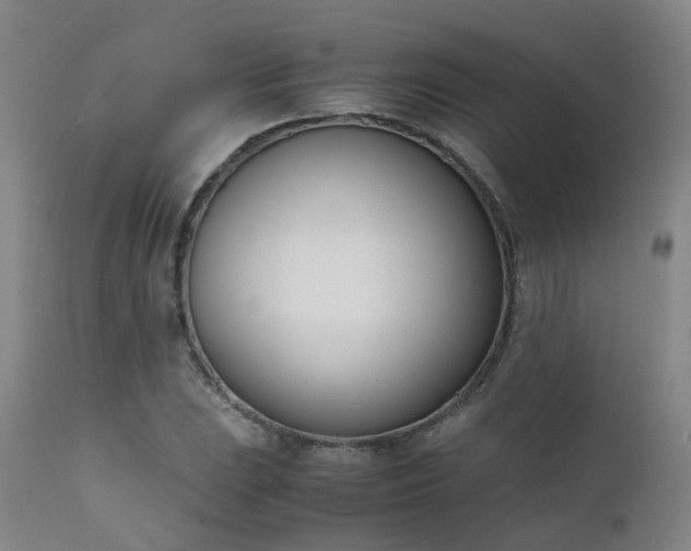 X0000111661023200907171604