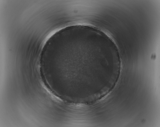 X0000111661024200907171604