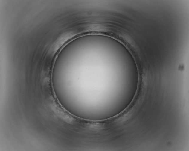 X0000111661025200907171604