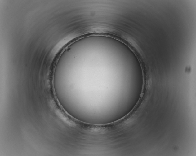 X0000111661026200907171604