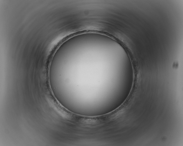 X0000111661027200907171604