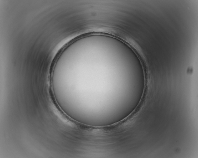 X0000111661028200907171605