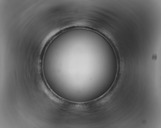 X0000111661029200907171605