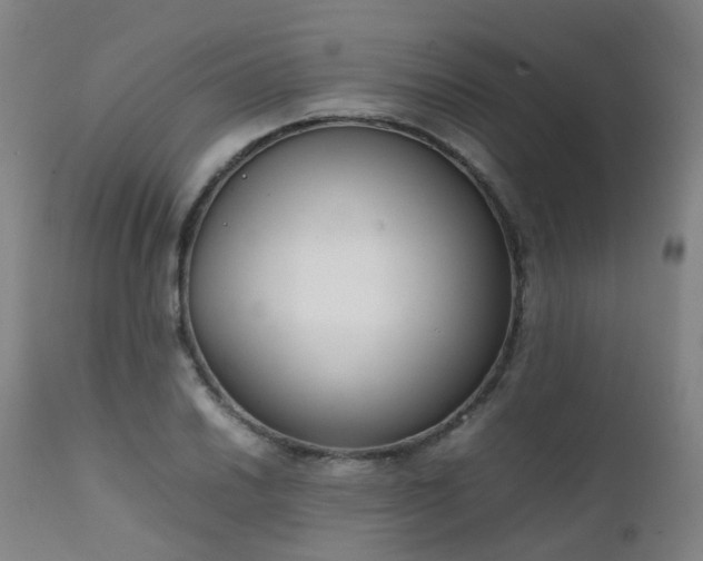 X0000111661030200907171605