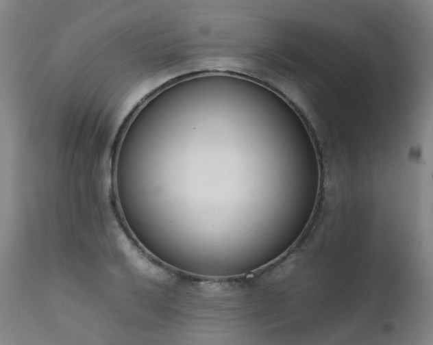 X0000111661032200907171605