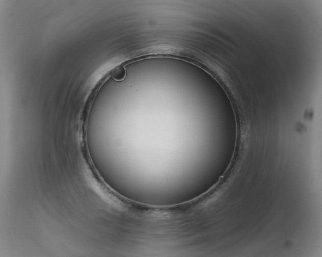 X0000111661034200907171605