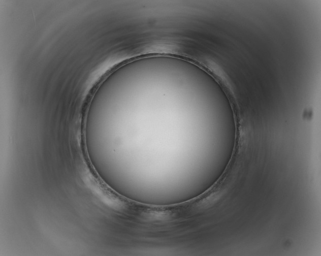 X0000111661035200907171605