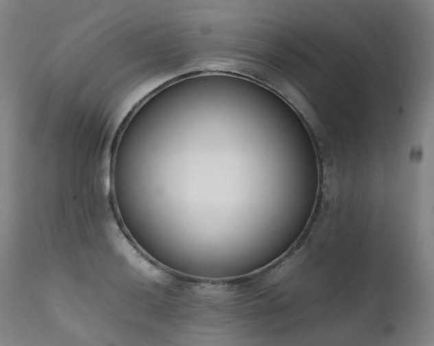 X0000111661036200907171605