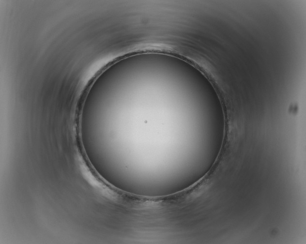 X0000111661038200907171605