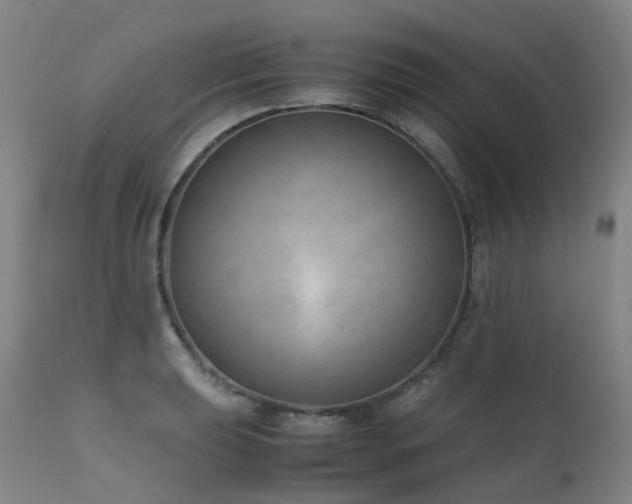 X0000111661039200907171605