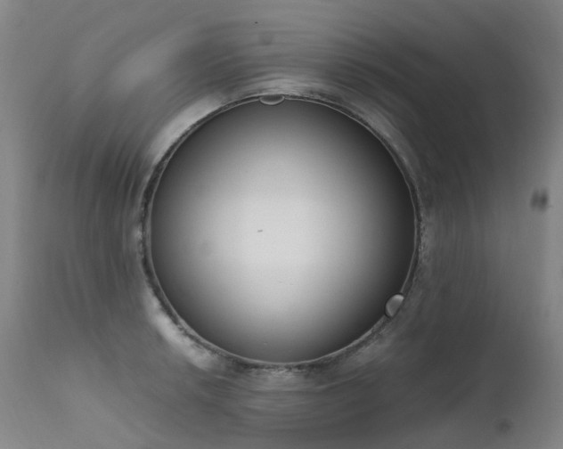 X0000111661042200907171605