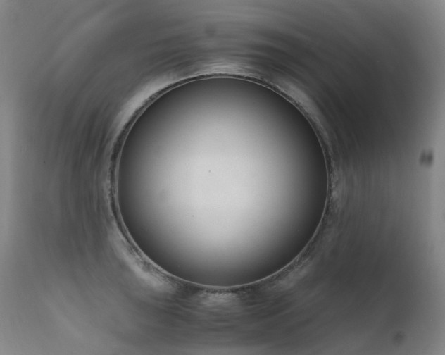 X0000111661043200907171605