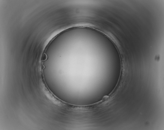 X0000111661044200907171605