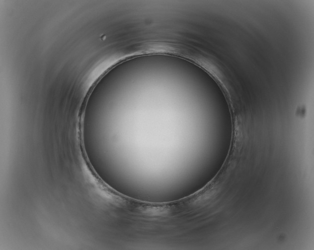 X0000111661047200907171605