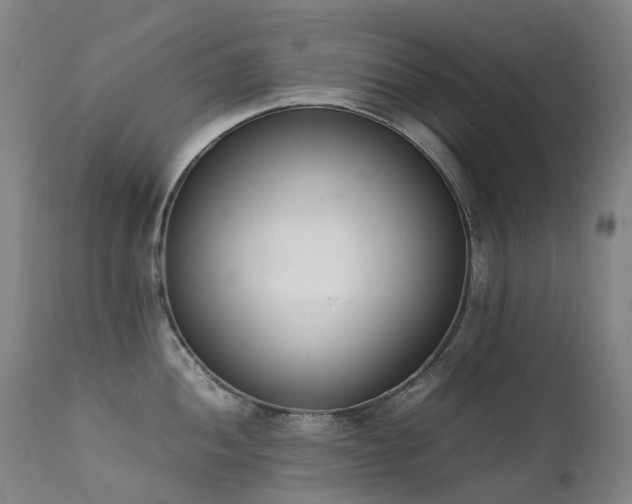 X0000111661052200907171605