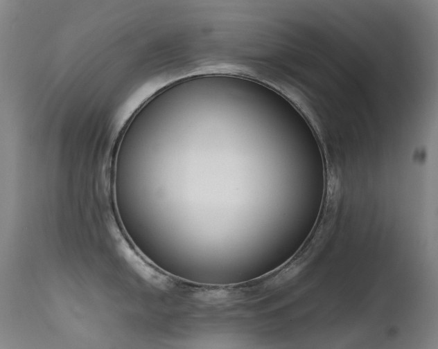 X0000111661054200907171605