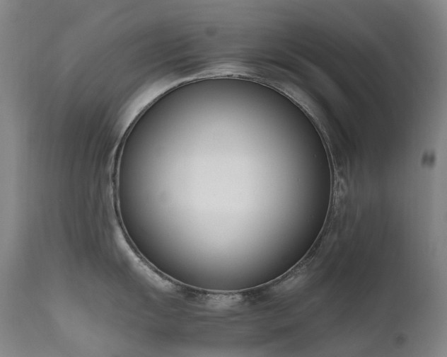 X0000111661055200907171605