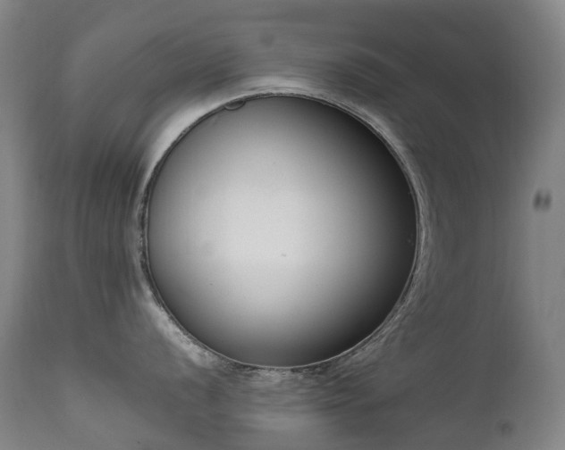 X0000111661056200907171605