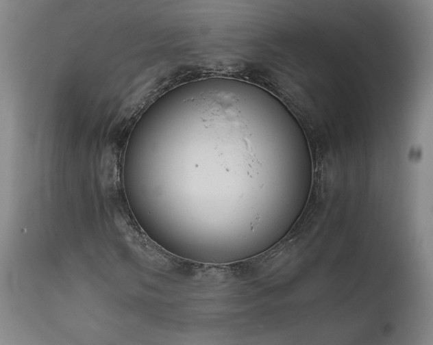 X0000111661058200907171604