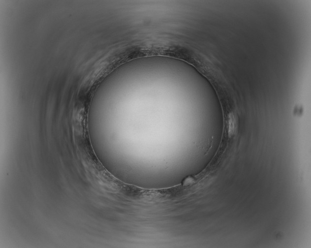 X0000111661059200907171604