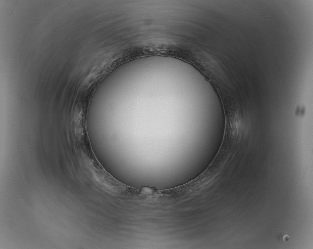 X0000111661060200907171604