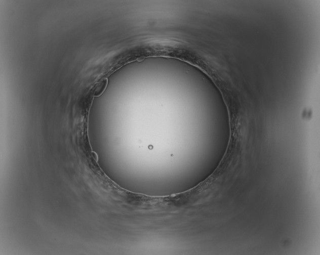 X0000111661061200907171604