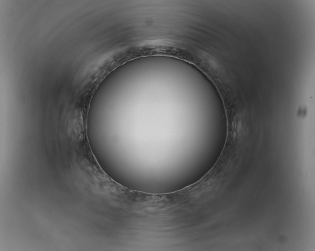 X0000111661062200907171604