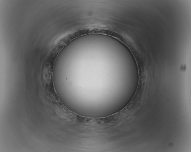 X0000111661063200907171604