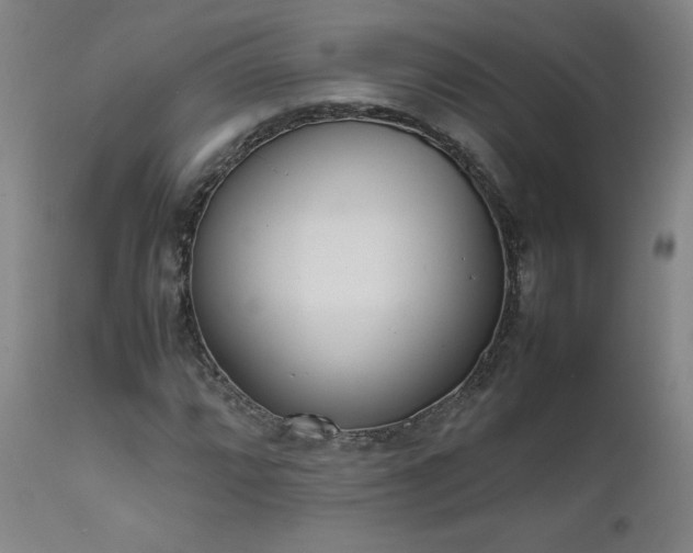 X0000111661064200907171604