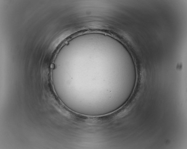 X0000111661065200907171604