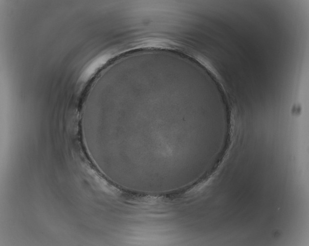 X0000111661067200907171604