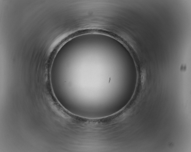 X0000111661069200907171604