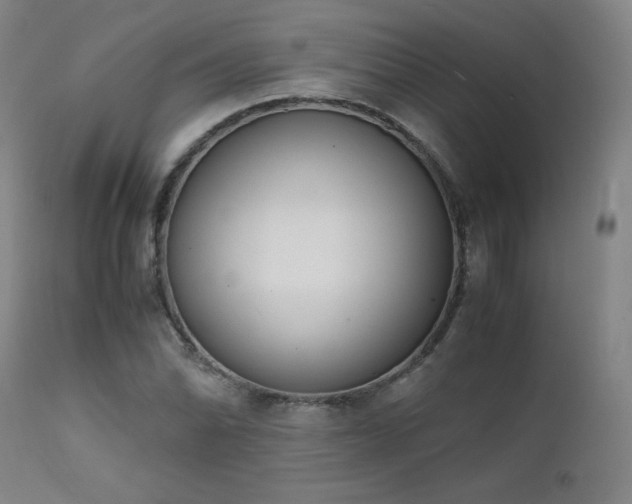 X0000111661070200907171604
