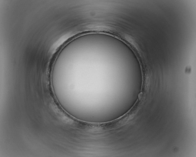 X0000111661071200907171604