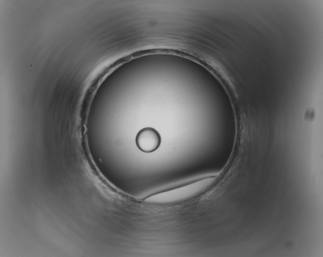 X0000111661072200907171604