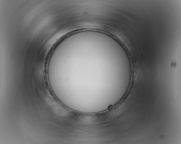 X0000111661074200907171604