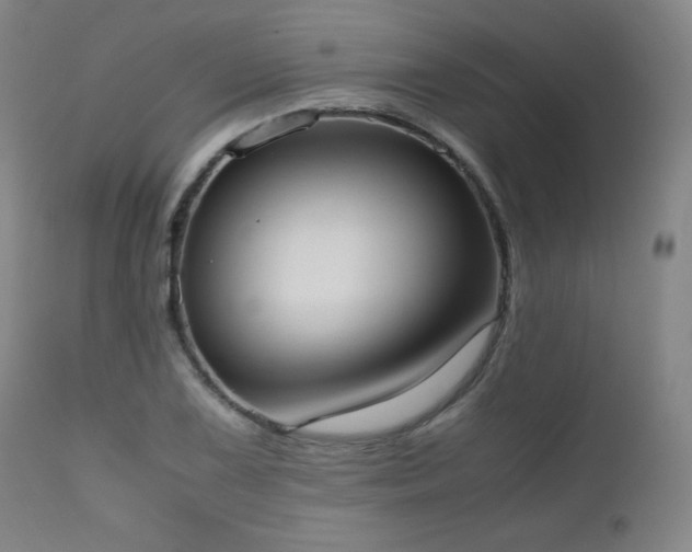 X0000111661075200907171604