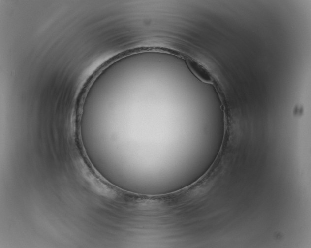 X0000111661076200907171604