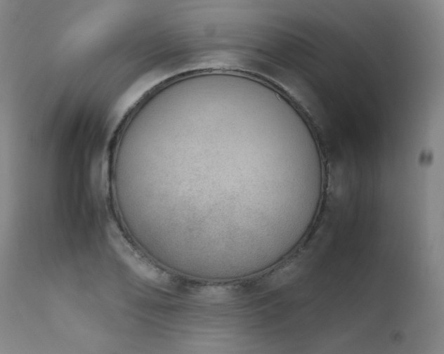 X0000111661078200907171604