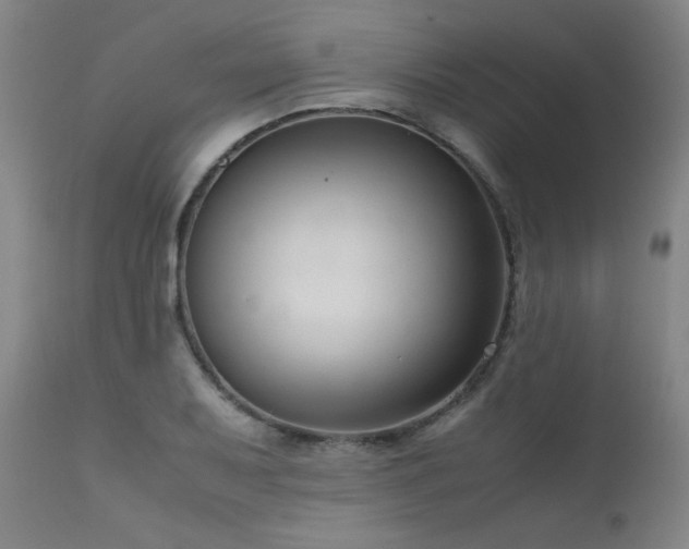 X0000111661079200907171604