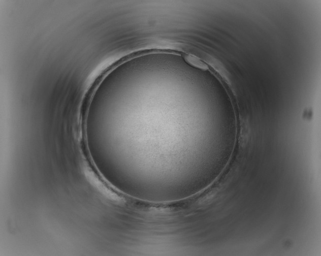 X0000111661080200907171604