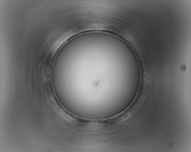 X0000111661081200907171604