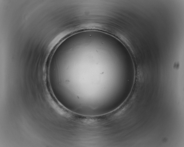 X0000111661082200907171604