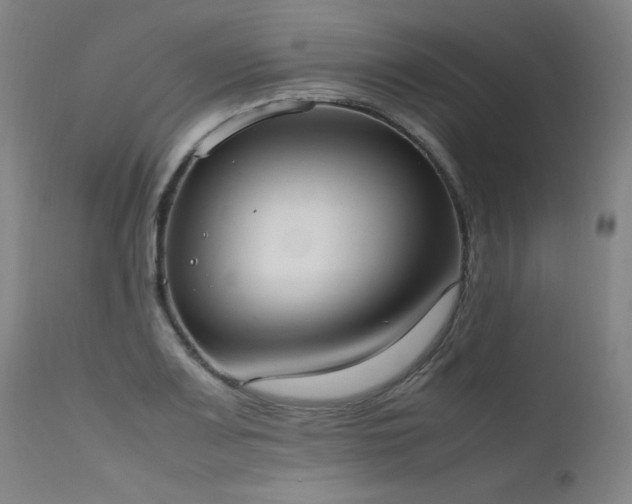 X0000111661083200907171604