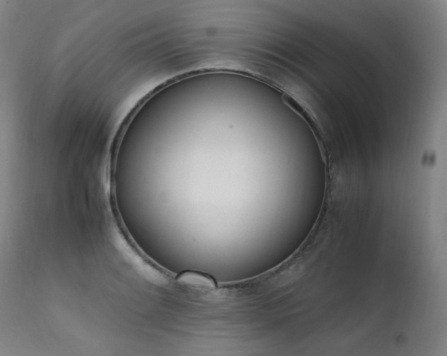 X0000111661084200907171604