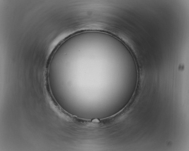 X0000111661085200907171604