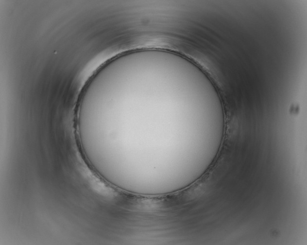 X0000111661086200907171604