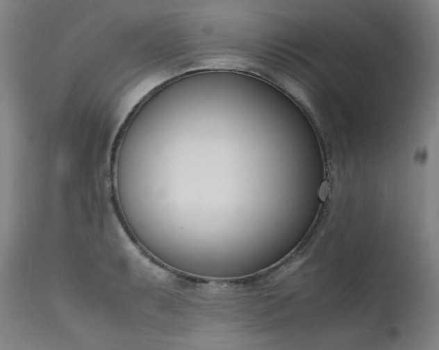 X0000111661087200907171604