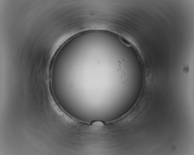 X0000111661088200907171604
